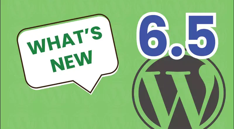 wordpress 6.5