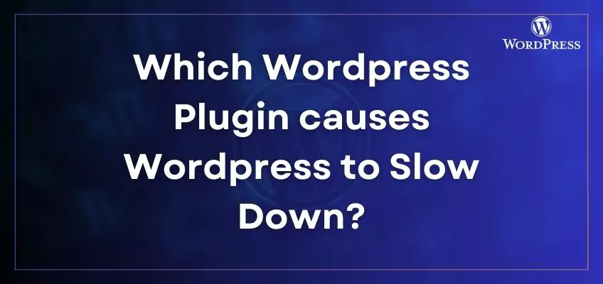 Which WordPress plugin causes WordPress to run slowly